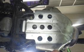 KAWASAKI SUPER SHERPA 2019 KL250G