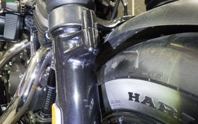 HARLEY XL1200X 2019