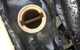 HONDA PS250 2008 MF09