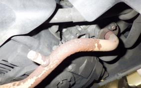 YAMAHA JOG Gen.5 SA36J