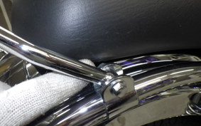 KAWASAKI ESTRELLA RS 2022 BJ250A