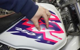 HONDA XR250 2005 MD30