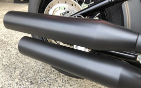 HARLEY FXBBS 2021 YYK