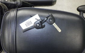 HONDA REBEL 1100 2021 SC83