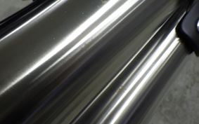 TRIUMPH SCRAMBLER 900 2025