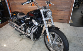 HARLEY FXST1340-1450 2023 BVJ
