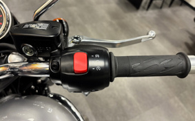 TRIUMPH BONNEVILLE T100 2026 D4BG20