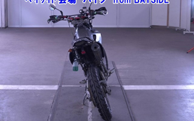 KAWASAKI KLX250 ES Type
