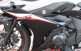 SUZUKI GSX250 R DN11A