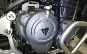 TRIUMPH TIGER 1200 GT PRO 2023