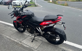 KAWASAKI  PULSAR 200NS A36FZ2