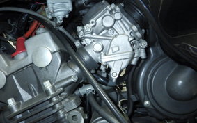 HONDA HORNET 250 1994 MC31