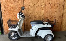 HONDA  GYRO X STANDARD  TD02