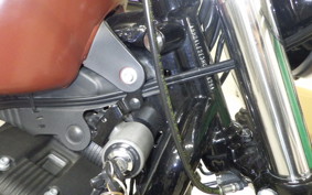 HARLEY XL883N 2018