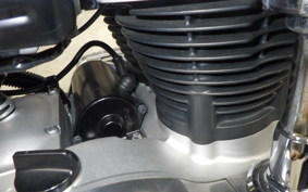 KAWASAKI W800 2024 EJ800E