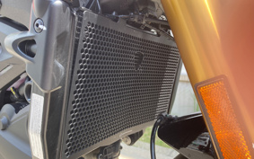 DUCATI M900 MONSTAR SP 2025 4M00