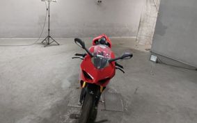 DUCATI PANIGA-REV4S 2019 DA00AA