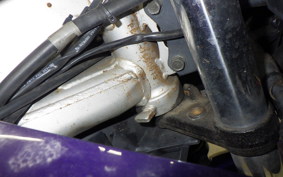 HONDA CBR600F GEN 1 1998 PC25