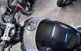 TRIUMPH SPEED TWIN 900 2025 DP0G21