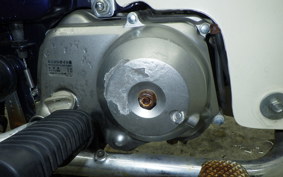HONDA C50 SUPER CUB 2023 C50