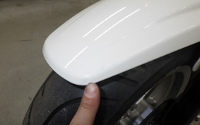 OTHER +UNREGISTERED MODEL by BDS125 2023