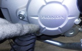 HONDA ｸﾛｽｶﾌﾞ50 2025 AA06