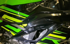 KAWASAKI NINJA ZX-6R 2019 ZX636G