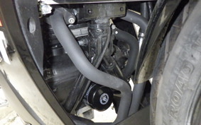 SUZUKI GSX250RA 2017