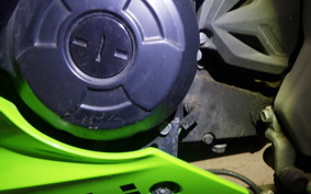 KAWASAKI NINJA 250 SL BX250A