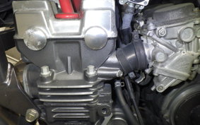 HONDA HORNET 250 2010 MC31