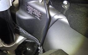 KAWASAKI ZX 10 NINJA ABS 2024 ZXT02L