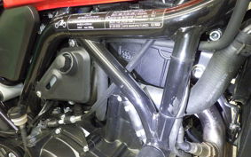 HARLEY X500 2024