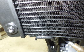 KTM 250 DUKE 2022