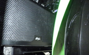 KAWASAKI NINJA 400 2022 EX400G
