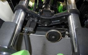 KAWASAKI NINJA 250 2026 EX250L