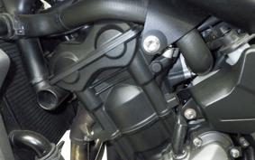 TRIUMPH TRIDENT 660 2021