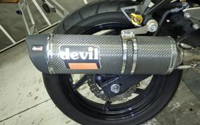 KAWASAKI NINJA 250R 2021 EX250K