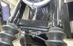 HARLEY XL883N 2010