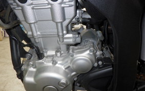 YAMAHA WR250X 2013 DG15J