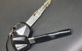 KAWASAKI NINJA 1000 SX 2021 ZXT02K