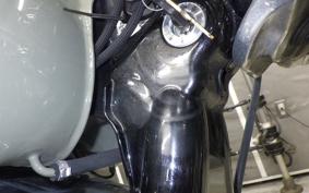 HARLEY FXDL 1580 2013