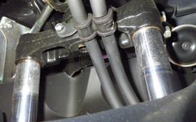 HONDA PCX 125 JF81