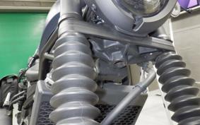 HONDA REBEL 250 S MC49