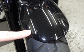 HARLEY XL1200XS 2020