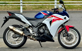 HONDA CBR250R MC41
