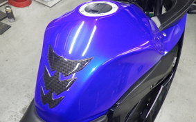 SUZUKI GSX250R 2015