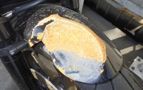 HONDA REBEL 1100 T 2024 SC83