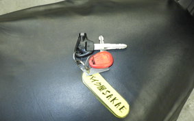 YAMAHA AXIS 125 TREET 2019 SE53J