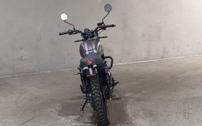 OTHER  MAT MASSHUMAN250 ..