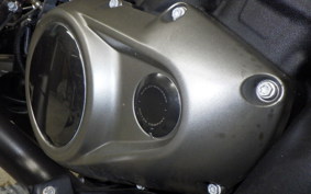 HARLEY RH975S 2023